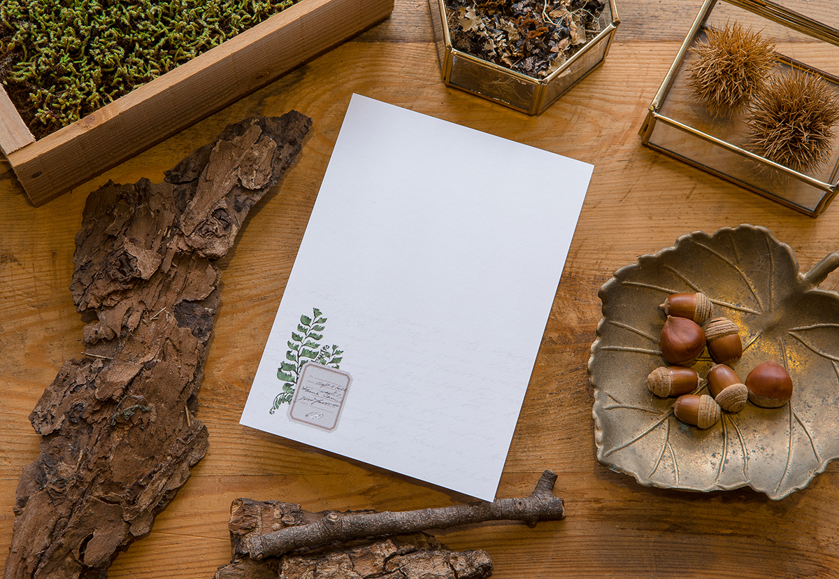 森林採集明信片 - 蝴蝶與紅蘑菇