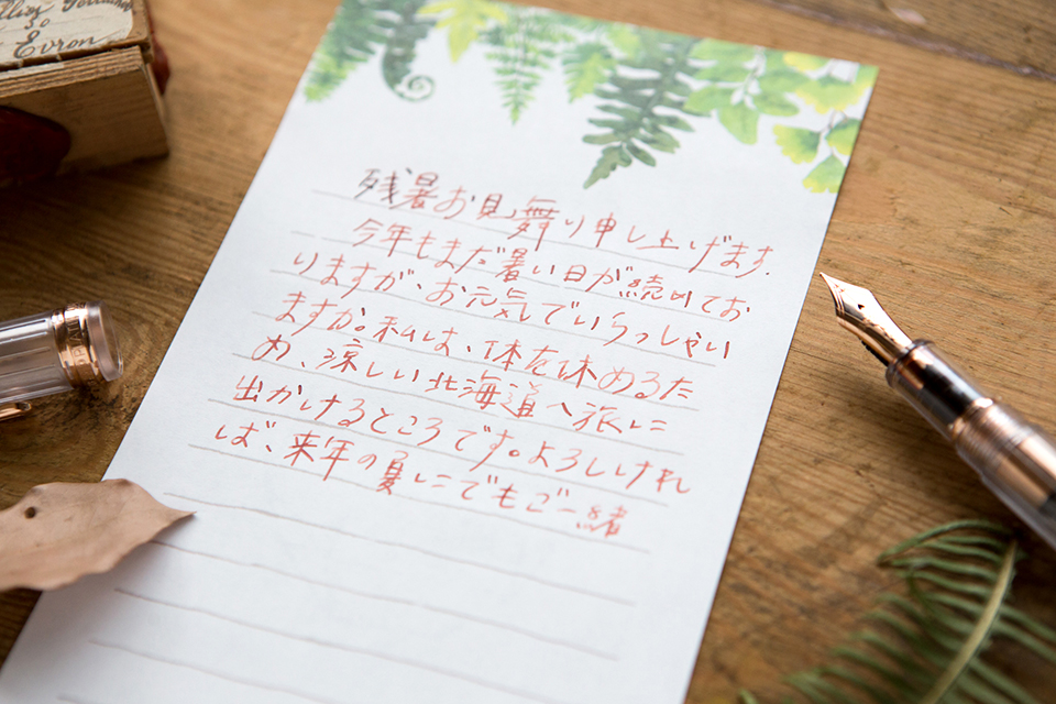 信紙組 - 蕨類 信紙組 - 蕨類
